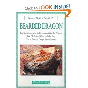 Bearded Dragon - Tom Mazorlig