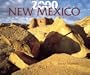 New Mexico (Millenium 2000 Wall Calendars)