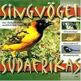 Singvögel Südafrikas