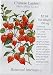 Outdoor Living : Chinese Lantern Seeds