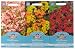 Mr Fothergill's Seeds Wallflower Collection