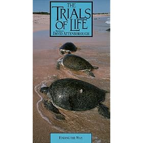 Trials of Life: Finding the Way [VHS]