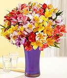 On Sale 100 Blooms for Mom by Proflowers