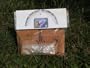 Songbird Essentials SESCSRW7003 Cedar Wren Kit Bird House