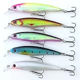 ブルーベルベット