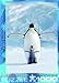 Eurographics Penguin and Chick 1000-Piece Puzzle