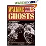 Walking Ghosts: Murder and Guerrilla Politics in Colombia