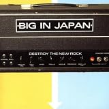 Destroy the New Rock [VINYL]