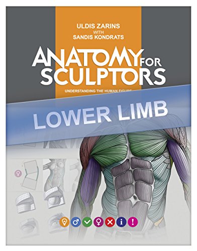 Lower Limb Anatomy For Artists: Understanding the human form (Anatomy For Sculptors Book 4), by Uldis Zarins, Sandis Kondrats