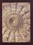 Jain Temples of Rajasthan (Indira Gandhi National Centre for the Arts)