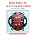 Early Celtic Art in Britain and Ireland (Shire Archaeology)