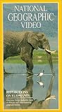 VHS : Reflections On Elephants