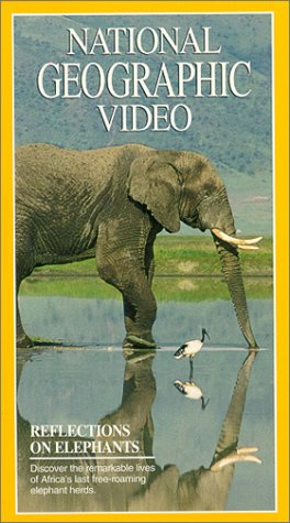 Reflections On Elephants