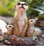 25cm Erdmänchen Familie Gartendeko Gartenfigur Tierfigur Garten Dekoration Neu