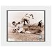 Photo File Detroit Tigers Ty Cobb Matted Photo