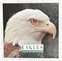 Eagles (Let's Investigate (Mankato, Minn.).)