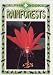 Book Rainforests (Alpha Books)