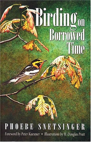 Birding