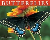 Butterflies of North America 2007 Calendar