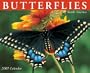 Butterflies of North America 2007 Calendar