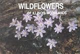 Wildflowers of Illinois Woodlands