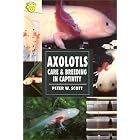 Axolotls: Care and Breeding in Captivity (Herpetology series) by Peter W. Scott