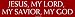 JESUS, MY LORD, MY SAVIOR, MY GOD Bumper Sticker