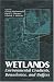 Wetlands: Environmental Gradients, Boundaries, and Buffers