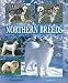 Best Dog Reference Books, II