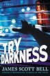 Try Darkness
