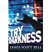 Try Darkness (Ty Buchanan Series, Book 2)