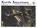 Books : North American Aircraft, 1934-1998