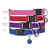 Casual Canine Paw Harbor Polo Shirts - X-SMALL