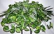30" Pathos, Chinese Evergreen & Palm Shelf Plant