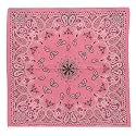 Pink New Paisley Bandannas
