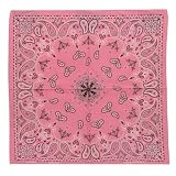 Pink New Paisley Bandannas W12S21D