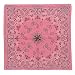 Pink New Paisley Bandannas