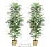 TWO 8' Artificial Areca Palm Trees, with No Pot,