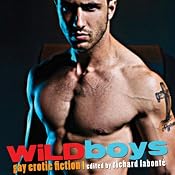 Wild Boys: Gay Erotic Fiction | [Richard Labonte]