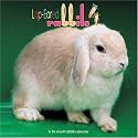 Lop-Ear Rabbits 2008 Wall Calendar