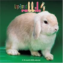 Lop-Ear Rabbits 2008 Wall Calendar