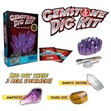 Gemstone Dig Kit - Excavate Real Rocks and Minerals!by Discover with Dr. Cool