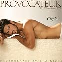 Gigolo 2010 Wall Calendar