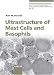 Book Ultrastructure of Mast Cells And Basophils (Chemical Immunology)