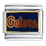 Pugster Florida Gators Licensed Italian Charms