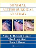 Minimal Access Surgical Anatomy