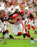 Darnell Dockett 2008 Action 16 x 20 Licensed Photo - Poster -- Framing Options Available