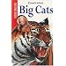 Big Cats (Oxford Reds)