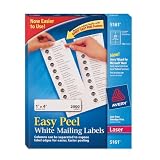 Avery 5161 Easy Peel White Mailing Labels for Laser Printers, 1 x 4, 20-up, Box of 2000