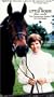 The Little Horse That Could: The Connemara Stallion - Erin Go Bragh [VHS]